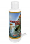 Mineral Star 500 ml